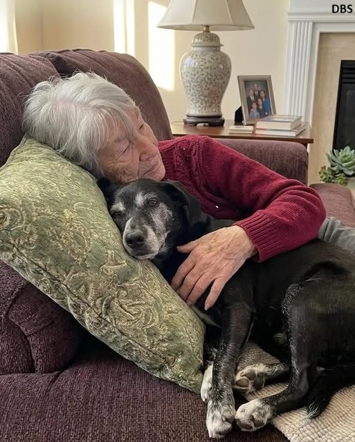 I Inherited My Late Wife’s Farm—What I Found There Changed My Life