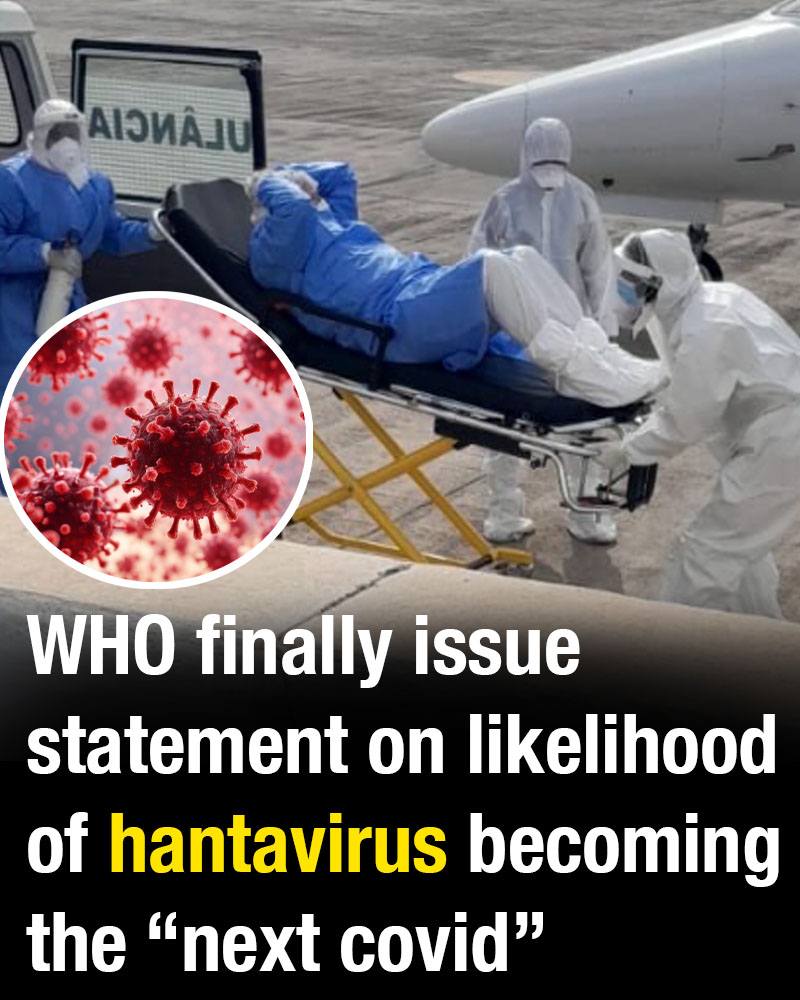 WHO Shares Update on Hantavirus and Addresses Pandemic Concerns Safely and Clearly