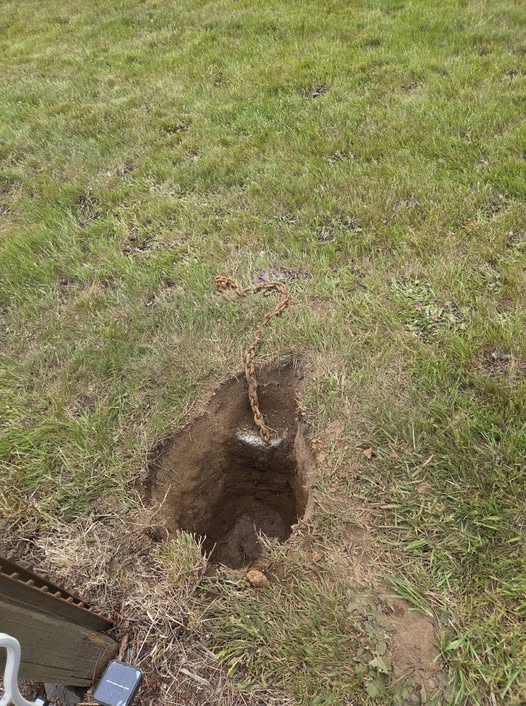 The Unyielding Link Beneath the Soil and the Hidden Architecture of Rural Defiance Against the Reckless and the Anonymous