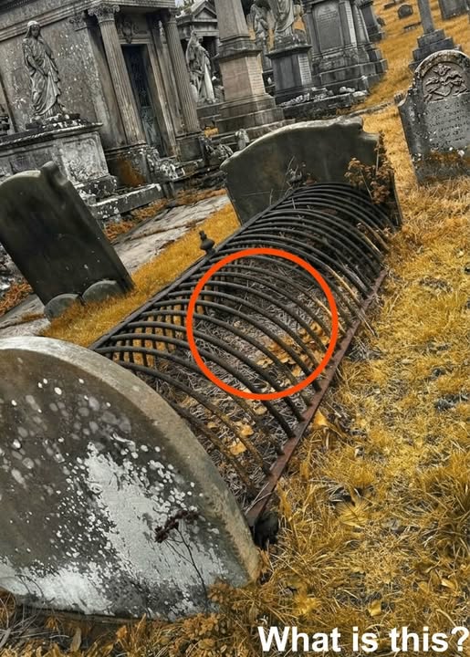 The Historical Reason Some Old Graves Were Protected With Iron Covers