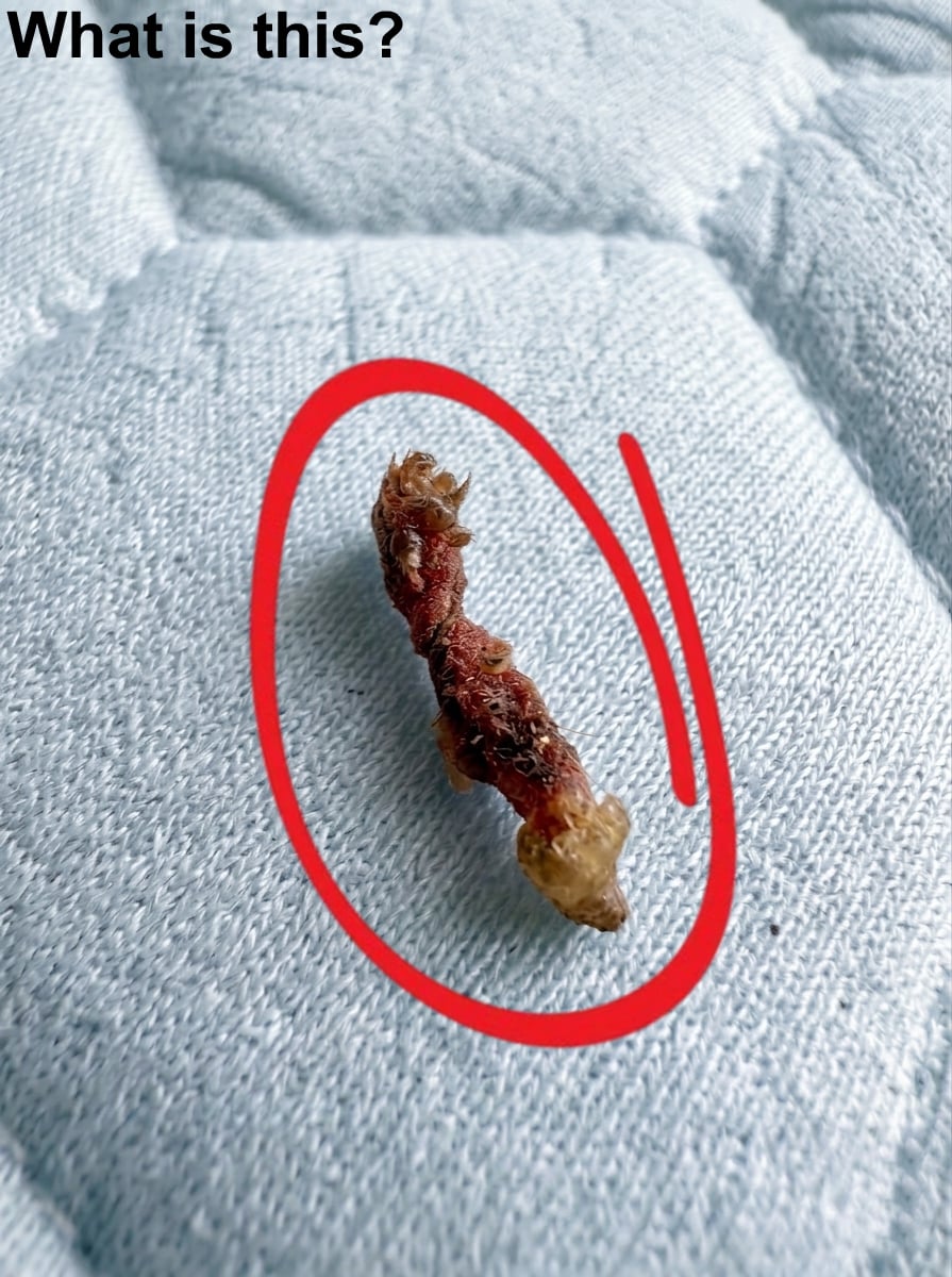 I Woke Up Feeling Uncomfortable in the Night—What I Discovered Was Completely Unexpected