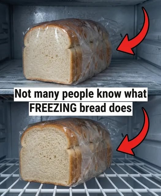 How to Freeze Bread the Right Way (So It Tastes Fresh Every Time)