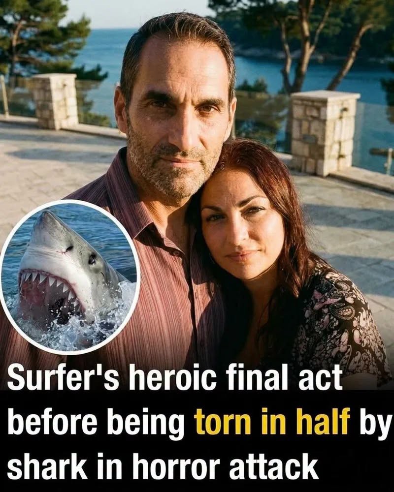 Surfer’s Brave Final Effort Leaves Lasting Impact on Those Around Him