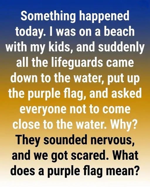 What a Purple Beach Flag Means and Why You Should Pay Attention