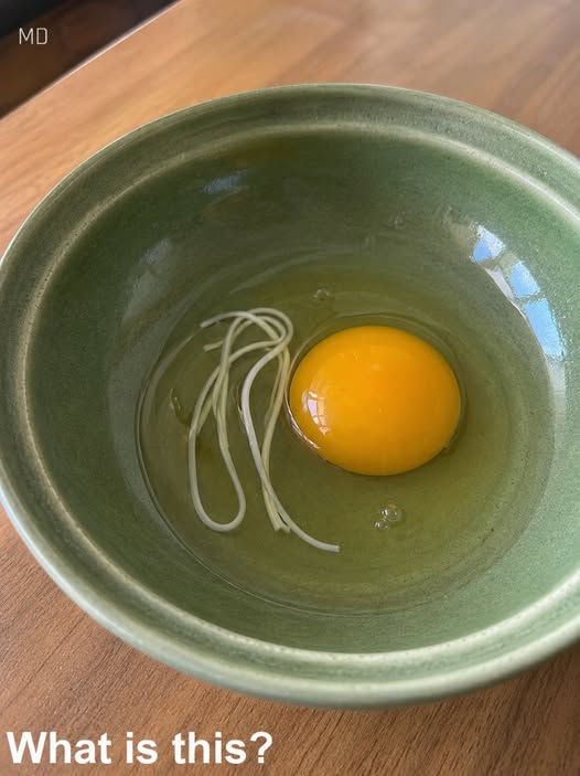 I Cracked an Egg for Breakfast and Spotted Something I’d Never Seen Before