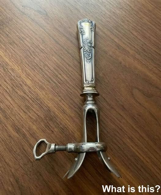 The Forgotten Object Hidden in My Grandmother’s Drawer Sparked a Family Mystery That Brought Us Closer Than Ever Before