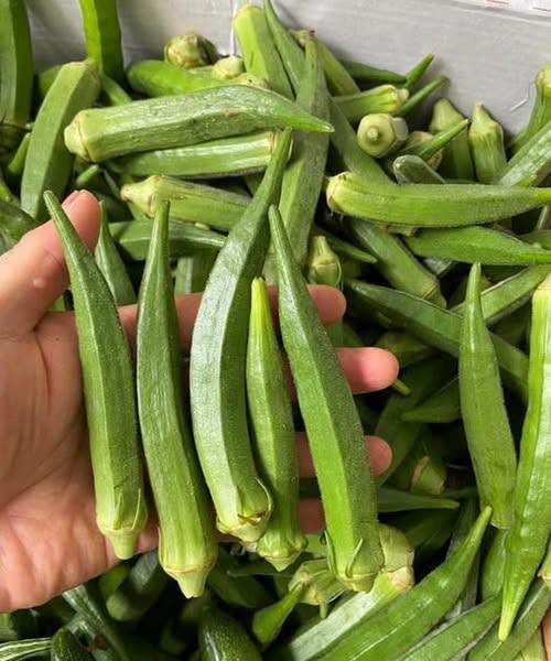Doctors reveal that eating okra causes…