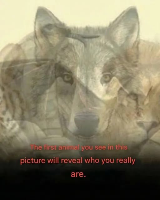The First Animal You Spot Might Reveal a Hidden Side of Your Personality