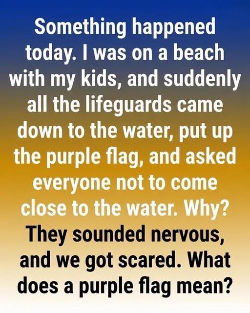 What a Purple Beach Flag Means and Why You Should Pay Attention