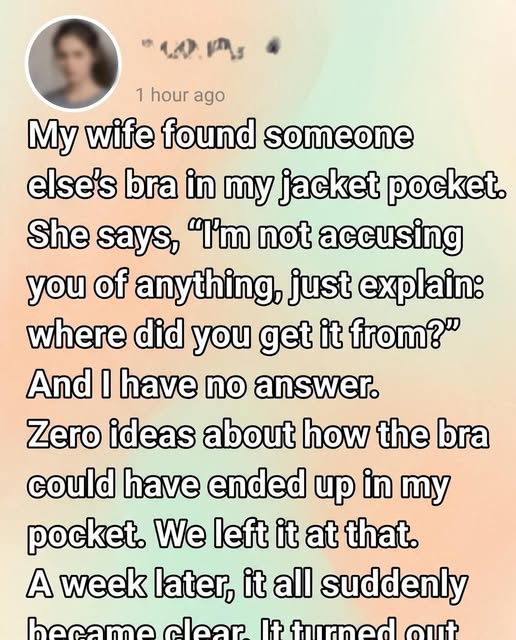 She Found a Black Lace Bra in His Bag — Then One Question Changed Everything