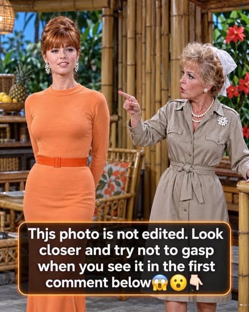Gilligan’s Island Hid Some Surprising Filming Secrets — Details Most Viewers Never Noticed